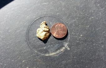 picture of Marshall's gold nugget